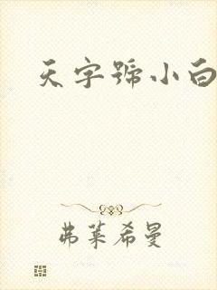 天字号小白脸封面