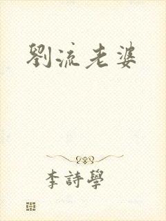 刘流老婆封面