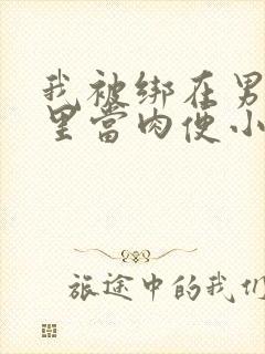 我被绑在男公厕里当肉便小说