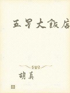 五星大饭店小说