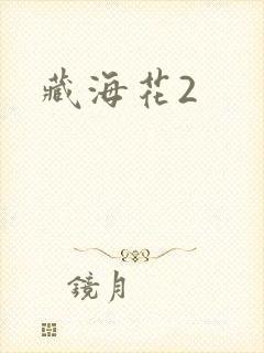 藏海花2封面
