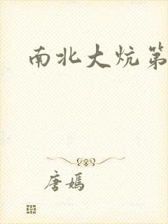 南北大炕第一部封面