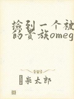 捡到一个被抹布的贵族omega