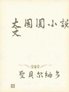 大团圆小说集全文