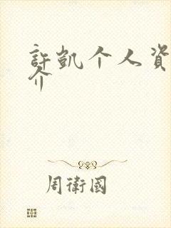 许凯个人资料简介