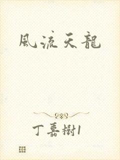 风流天龙