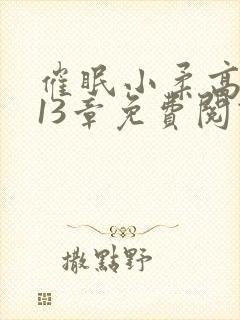 催眠小柔高达第13章免费阅读