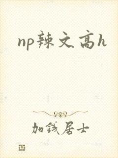 np辣文高h