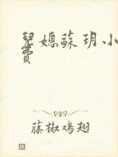 儿媳苏玥小说免费