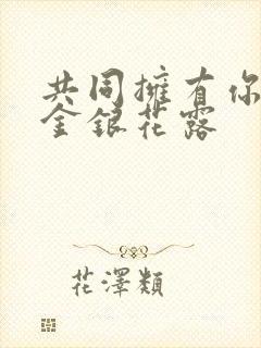 共同拥有你by金银花露封面