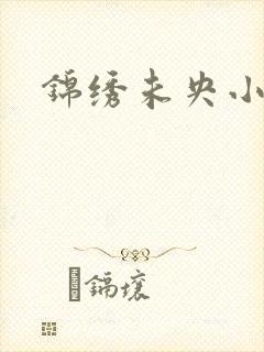 锦绣未央小说封面