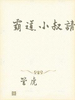 霸道小叔请轻撩