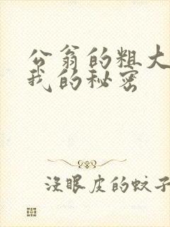 公翁的粗大放进我的秘密