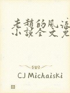 老赵的风流人生小说全文免费阅读封面