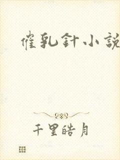 催乳针小说