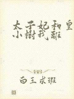 太子妃和皇上在小树我离封面