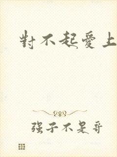 对不起爱上你封面