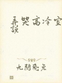 弄哭高冷室友小说封面