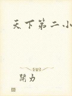 天下第二小说