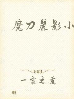 魔刀丽影小说