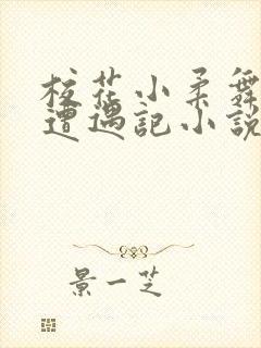 校花小柔舞蹈室遭遇记小说