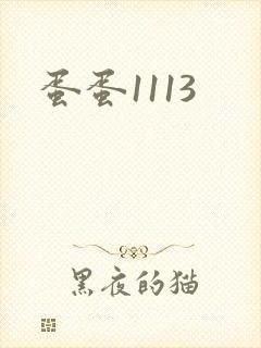 蛋蛋1113