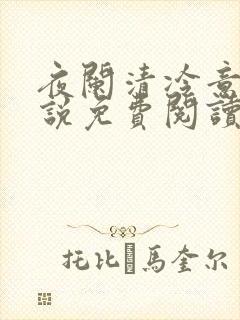 夜阑清冷意欢小说免费阅读