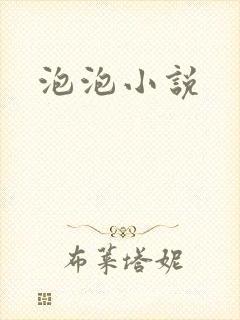泡泡小说