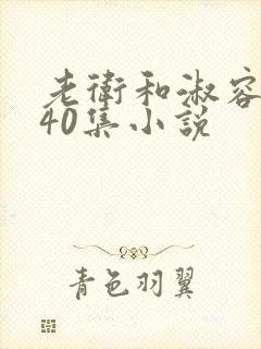 老卫和淑容1-40集小说