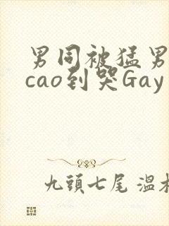 男同被猛男房东cao到哭Gay