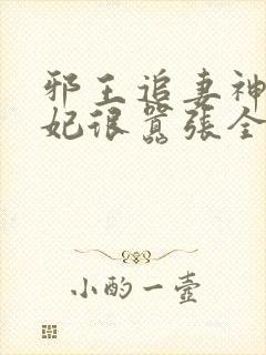 邪王追妻神医狂妃很嚣张全文免费