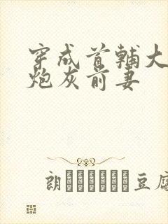 穿成首辅大人的炮灰前妻