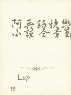 阿兵的快乐生活小说 全章节阅读免费