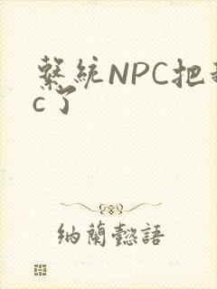 系统NPC把我c了