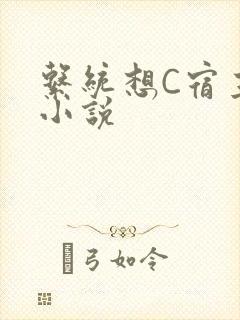 系统想C宿主的小说