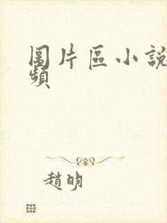 图片区小说区视频