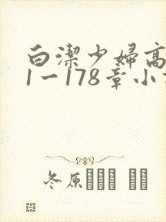 白洁少妇高义第1一178章小说