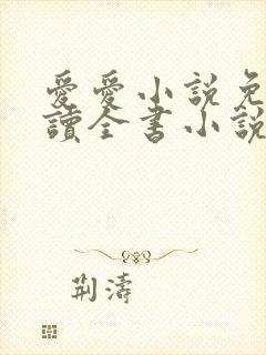 爱爱小说免费阅读全书小说乡村封面