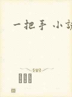 一把手 小说