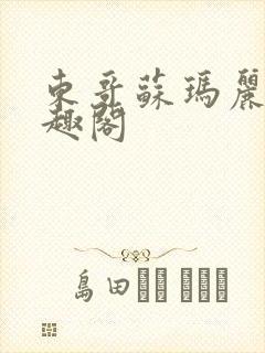 东哥苏玛丽 笔趣阁封面