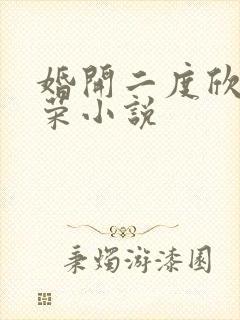 婚开二度欣欣向荣小说