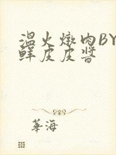 温火炖肉BY海鲜皮皮酱