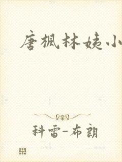 唐枫林姨小说封面