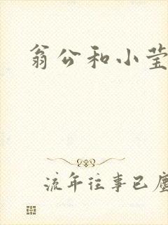 翁公和小莹封面