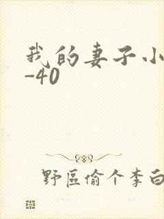 我的妻子小谨1-40