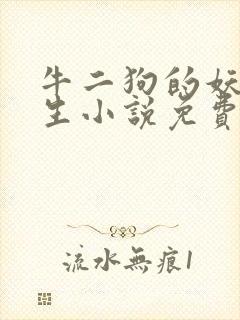 牛二狗的妖孽人生小说免费阅读全文