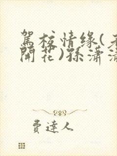 驾校情缘(老树开花)孙潇潇第一次趣笔阁封面