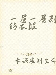 一层一层剥开你的衣服封面