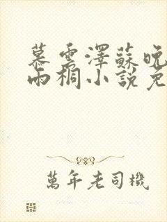 慕云泽苏晚晴夏雨桐小说免费阅读封面