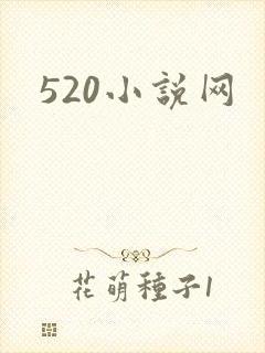 520小说网
